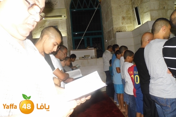 kaber trawe7 718 (19).JPG